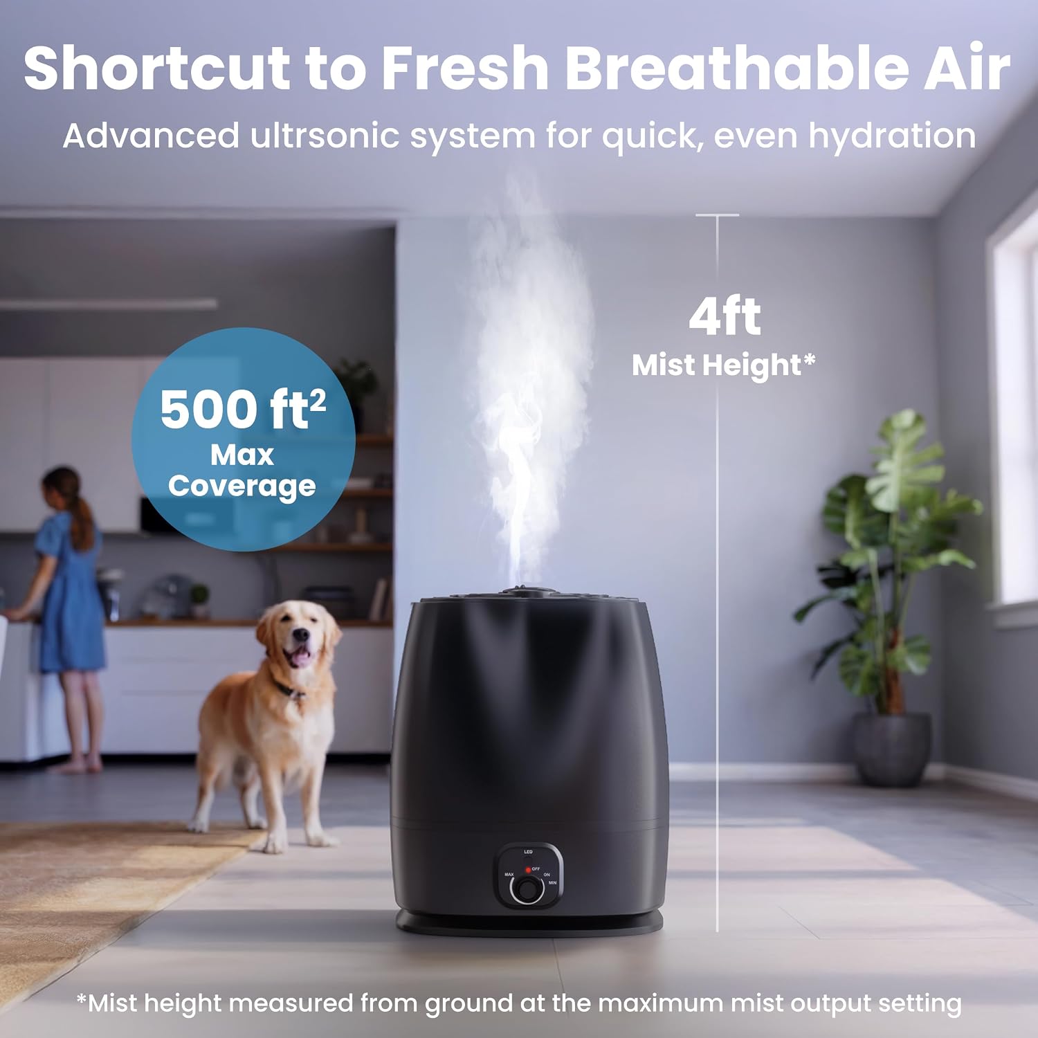 6L Cool Mist Humidifier for Be - đánh giá và giá Baby Nursery Images Free